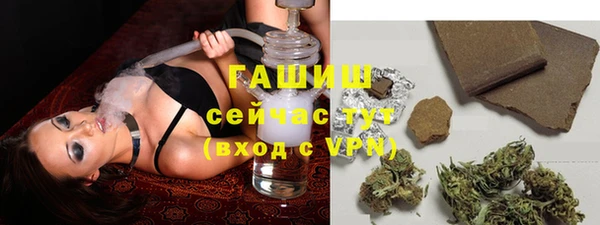 крисы Няндома