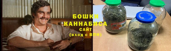крисы Няндома