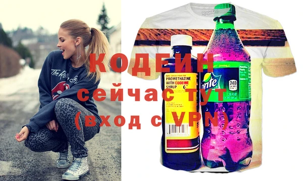 крисы Няндома