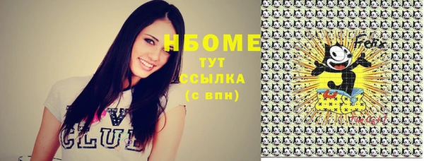 молекула духа Нязепетровск