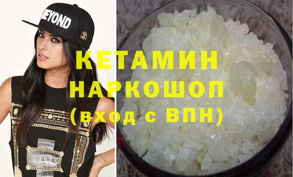крисы Няндома