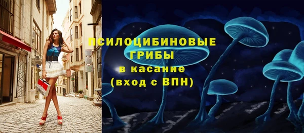 крисы Няндома