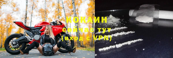 молекула духа Нязепетровск