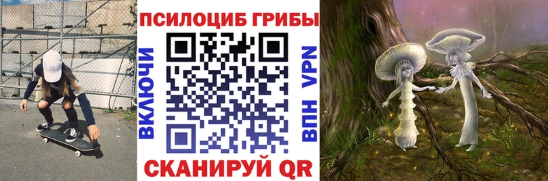 Галлюциногенные грибы Cubensis  omg   Татарск 