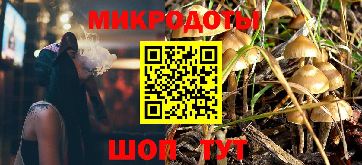 Псилоцибиновые грибы Psilocybe  Татарск  Псилоцибиновые грибы Psilocybine cubensis 