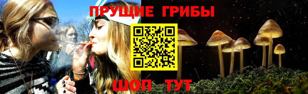Псилоцибиновые грибы Cubensis  Галлюциногенные грибы GOLDEN TEACHER  купить наркотик  Вход с VPN  Татарск 